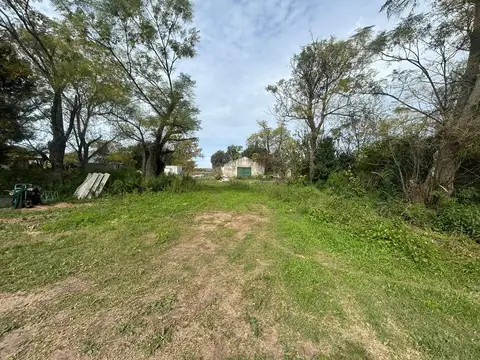 VENTA CAMPO EN FIGHIERA - 8 HECTAREAS