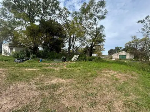 VENTA CAMPO EN FIGHIERA - 8 HECTAREAS