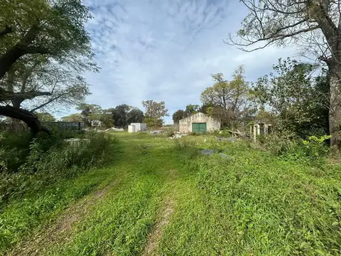 VENTA CAMPO EN FIGHIERA - 8 HECTAREAS