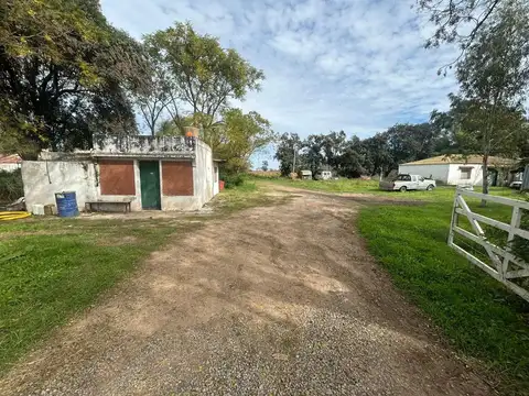 VENTA CAMPO EN FIGHIERA - 8 HECTAREAS