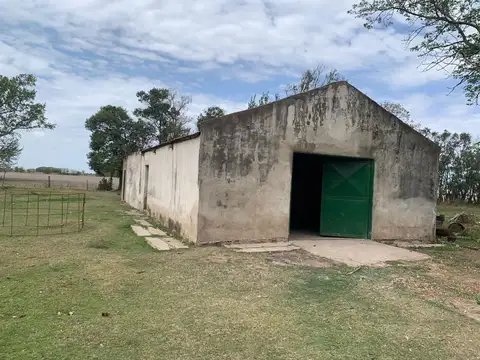 VENTA CAMPO EN FIGHIERA - 8 HECTAREAS