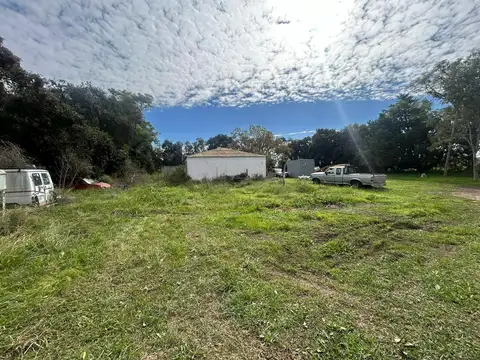 VENTA CAMPO EN FIGHIERA - 8 HECTAREAS