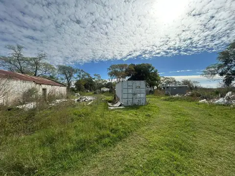 VENTA CAMPO EN FIGHIERA - 8 HECTAREAS