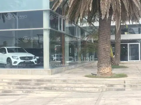 Local En Alquiler En Zona Península, Punta Del Este 