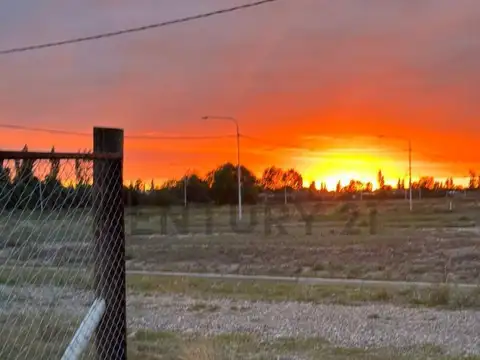 Jons Jacob Berzelius , Piso 0