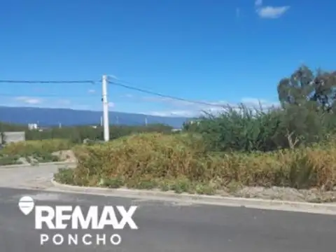 Terreno en Venta de 250,0 m2