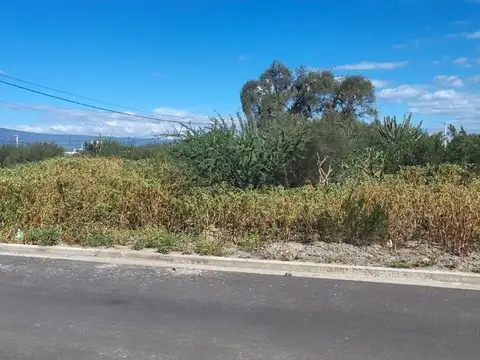 Terreno en Venta de 250,0 m2