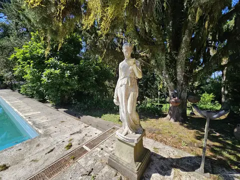 Cerro San Javier