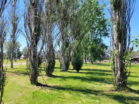 Azzurra Tortugas, Pilar