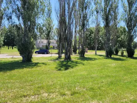 Terreno en  Azzurra Tortugas