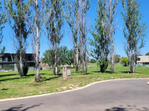 Azzurra Tortugas, Pilar