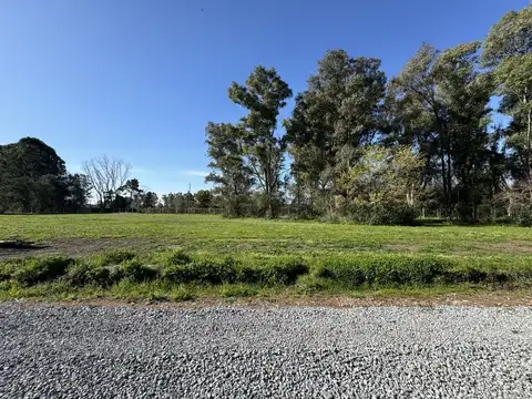 El Lote más grande de Cardano en Venta 1.583 m2