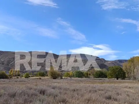 TERRENO 1 HECTÁREA - ACCESO A RUTA NAC. 40 