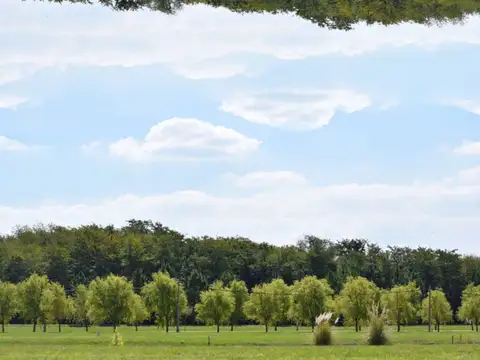 Terreno en Venta de 2490,0 m2