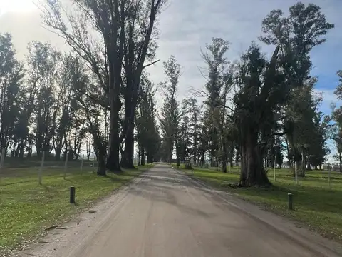 Terreno en Venta en Los Tres Pinos, Countries y Barrios Cerrados en General Rodriguez