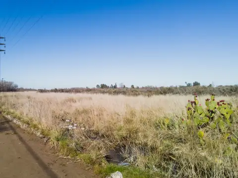 Terreno en Venta de 11696,0 m2