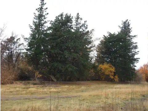 Terreno en Venta en Rawson, USD 37.000