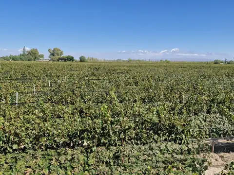 Ruta Nacional 40  Valle de Uco KM RN al 3200
