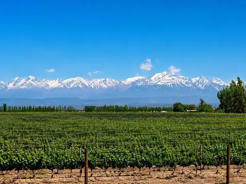 Venta finca de 2.500 m² en Anchoris, Sobre Ruta 40 Km 3250, Valle de Uco, Mendoza