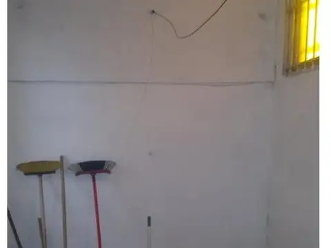 Cjal E Tribulato 900