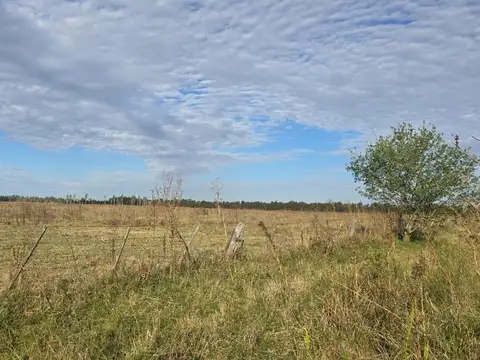 Campo en Venta de 16  ha