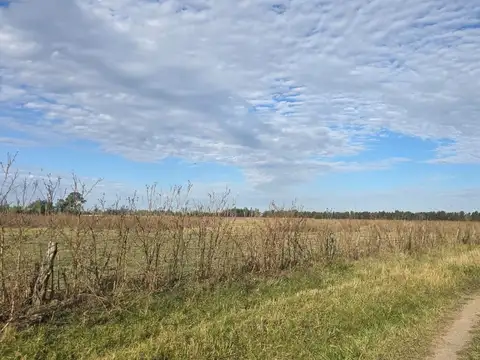 Campo en Venta Ganadero