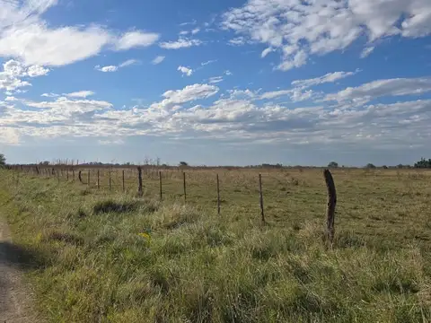 Campo en Venta Ganadero