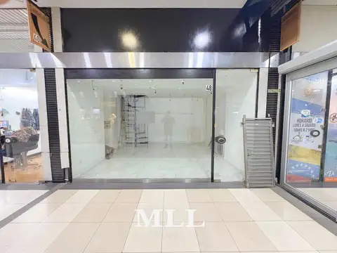 Local en Microcentro