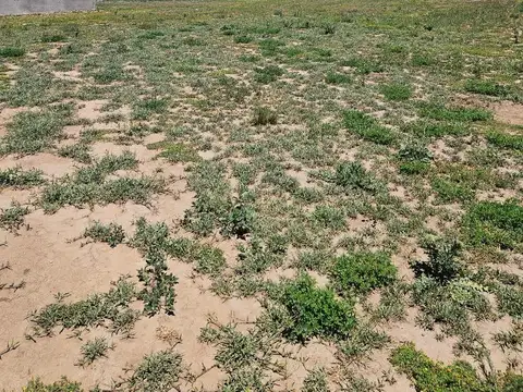 Terreno en Venta de 250,0 m2