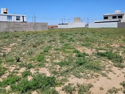 Terreno en Venta de 250,0 m2