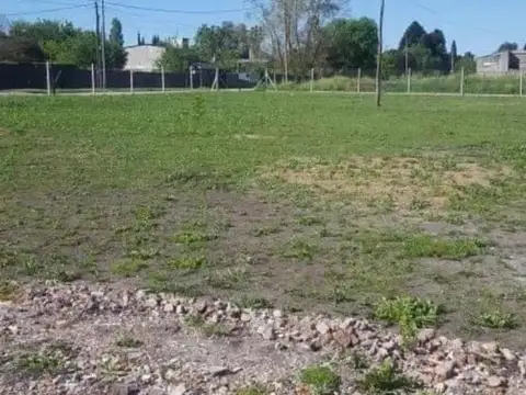 Alberto Camus 2600