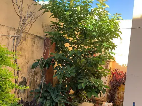 CASA DE DOS DORMITORIOS BARRIO SUR