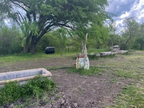 109 has de Campo Ganadero. Sauce de Luna - Federal