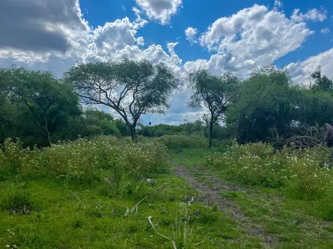 109 has de Campo Ganadero. Sauce de Luna - Federal