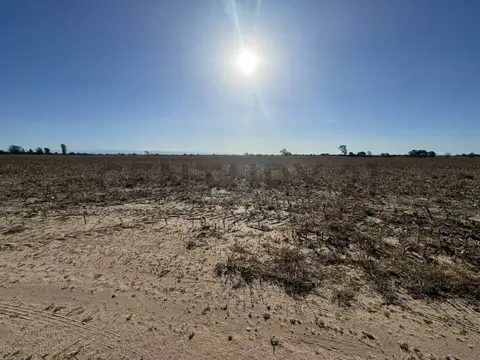 UNICO Usd 8500/HA Campo 59 Ha Aptitud Suelo Mixto ESCRITURA
