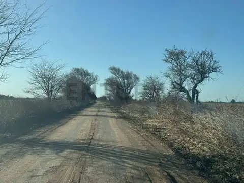 COSTA RIO 600 Mts UNICO Campo 59 Ha Agricola - Ganadero Usd 8500 ha - ESCRITURA