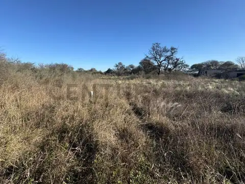 COSTA RIO 600 Mts UNICO Campo 59 Ha Agricola - Ganadero Usd 8500 ha - ESCRITURA