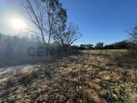 UNICO Usd 8500/HA Campo 59 Ha Aptitud Suelo Mixto ESCRITURA