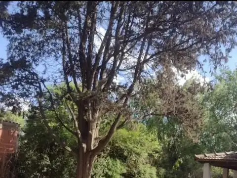 Terreno en Venta en General Rodriguez, USD 29.000