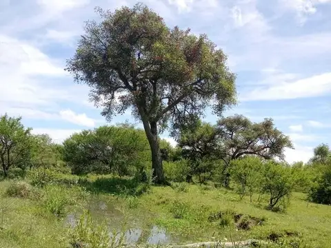 Terreno Emp. Rural  en Venta en Islas Del Ibicuy, Entre Ríos, Argentina