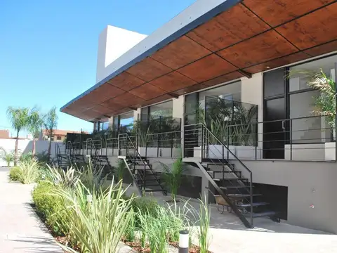 MIGUEL CANE - UF 9 - 1000