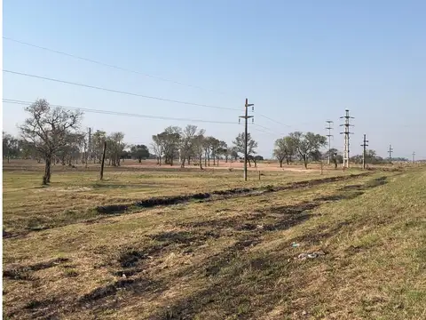 Ruta N° 11 Km  1010
