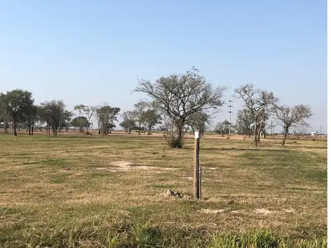 Ruta N° 11 Km  1010