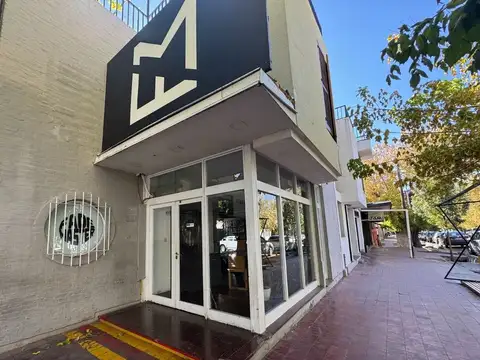 VENTA CASA CON DOS LOCALES COMERCIALES TUNUYAN