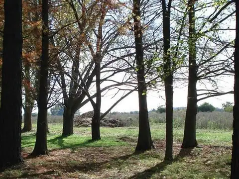 Mmc. Venta De Lote En Barrio Matisse