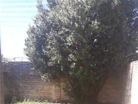 Depto Tipo Casa en Venta de 1 dormitorio