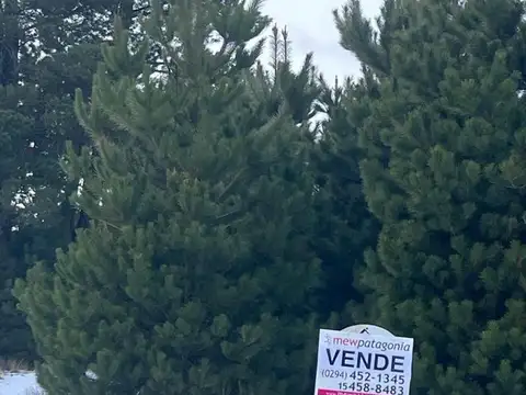 Avenida De Las Victorias 1400