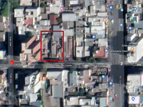 Prof Dr Mariano Castex 100