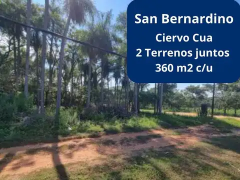 Ruta Luque San Bernardino