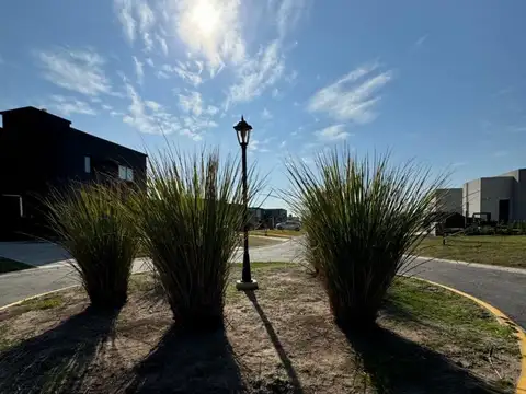 Terreno en Venta en Pilar Del Este - Santa Elisa, USD 41.000